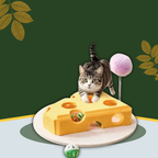 Interactive Cat Toy Maze Puzzle