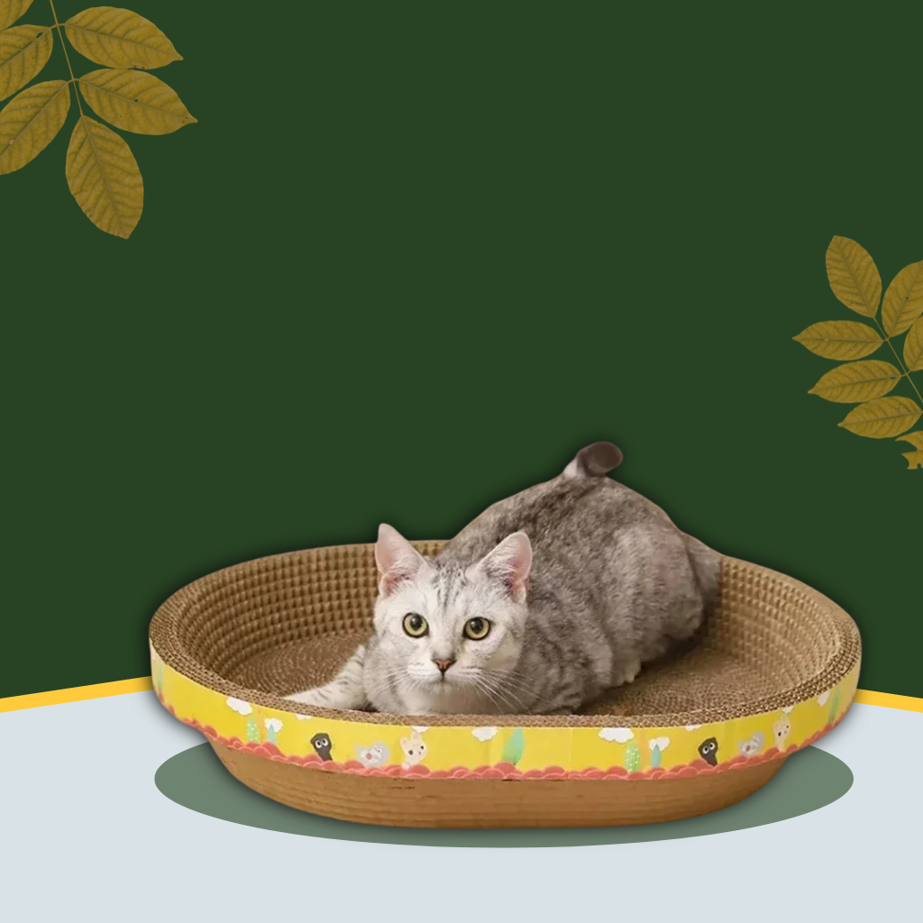 Cat Scratching Board & Nest