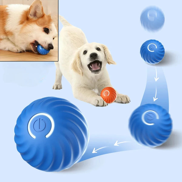 USB Smart Automatic Moving Dog Ball