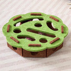 Interactive Cat Toy Maze Puzzle