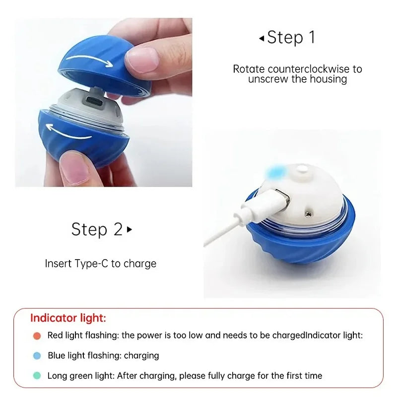 USB Smart Automatic Moving Dog Ball