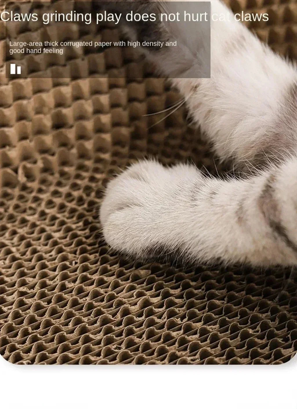 Cat Scratching Board & Nest