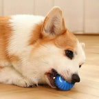 USB Smart Automatic Moving Dog Ball