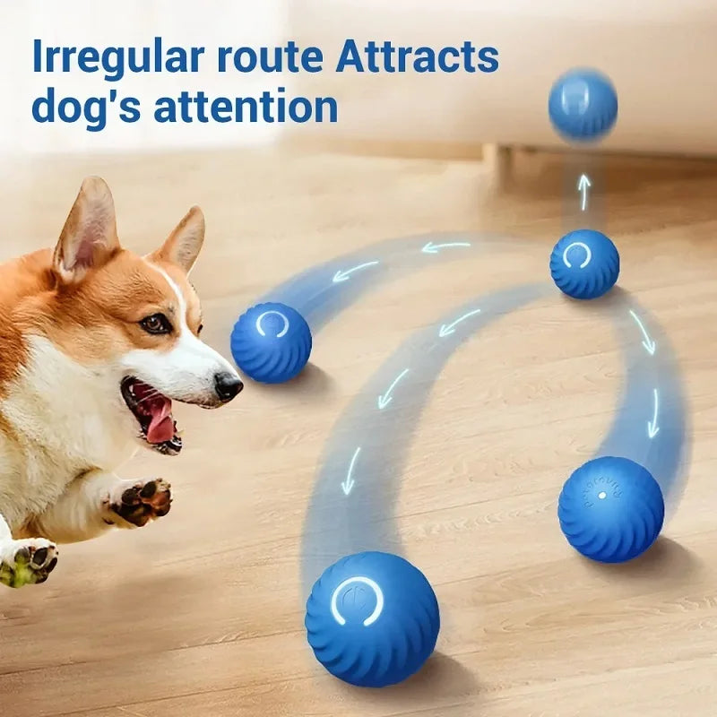 USB Smart Automatic Moving Dog Ball