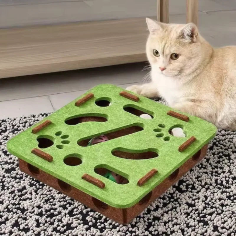 Interactive Cat Toy Maze Puzzle