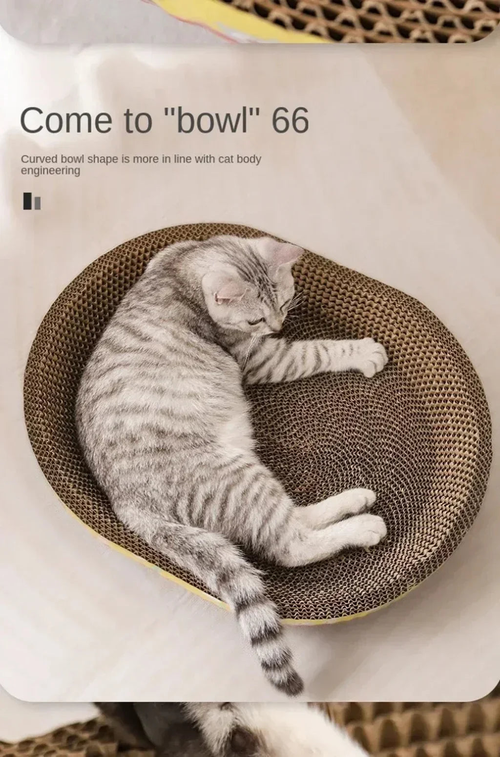 Cat Scratching Board & Nest