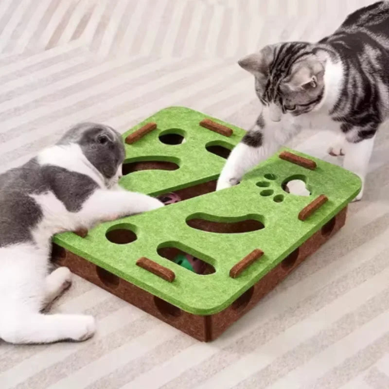 Interactive Cat Toy Maze Puzzle