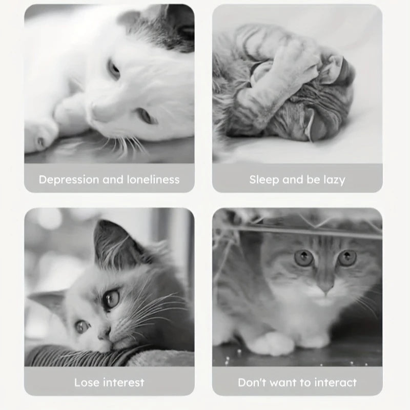 Interactive Cat &amp; Dog Toy (1 Pc)