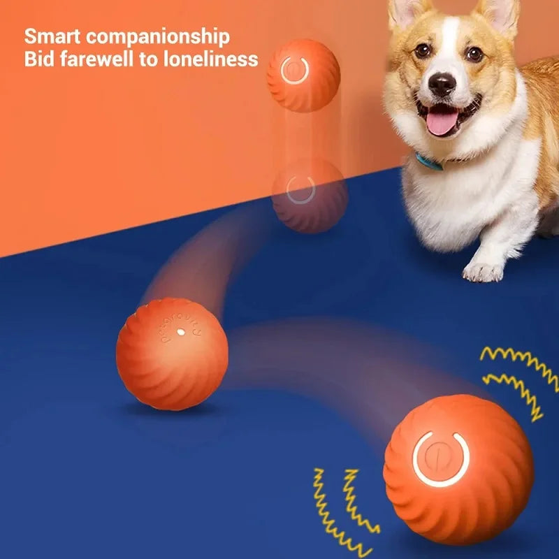USB Smart Automatic Moving Dog Ball