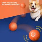 USB Smart Automatic Moving Dog Ball