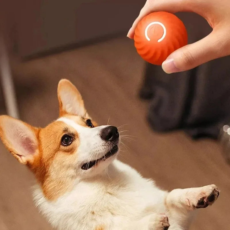 USB Smart Automatic Moving Dog Ball
