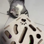 Interactive Cat Toy Maze Puzzle