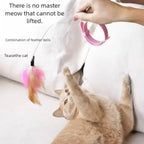 Cat Feather Fishing Toy (Steel Wire Pole)