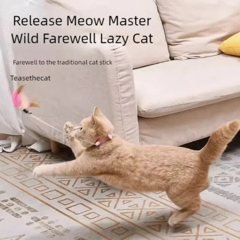 Cat Feather Fishing Toy (Steel Wire Pole)