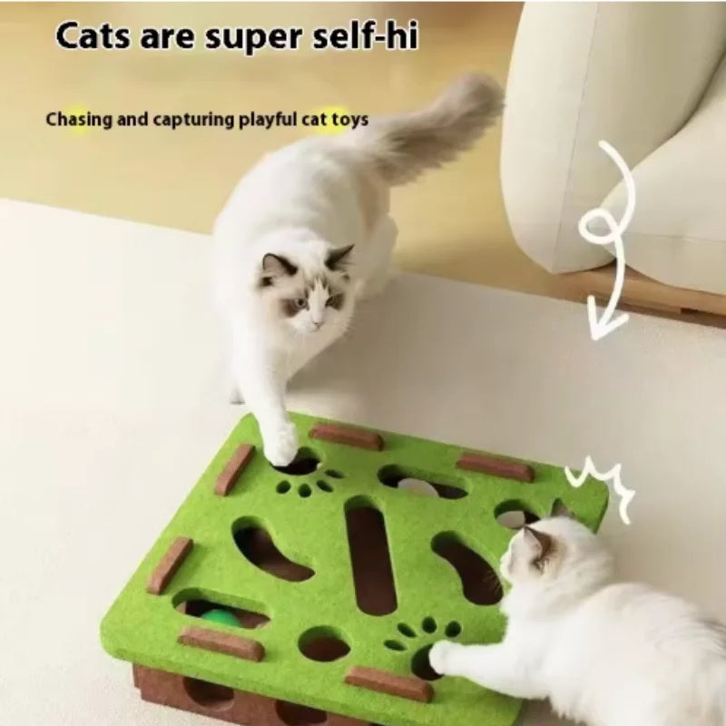 Interactive Cat Toy Maze Puzzle