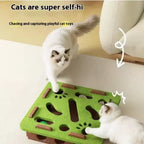 Interactive Cat Toy Maze Puzzle